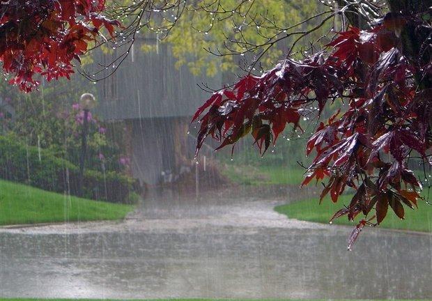 بارش 411 میلیمتری باران طی سال زراعی جاری در یاسوج