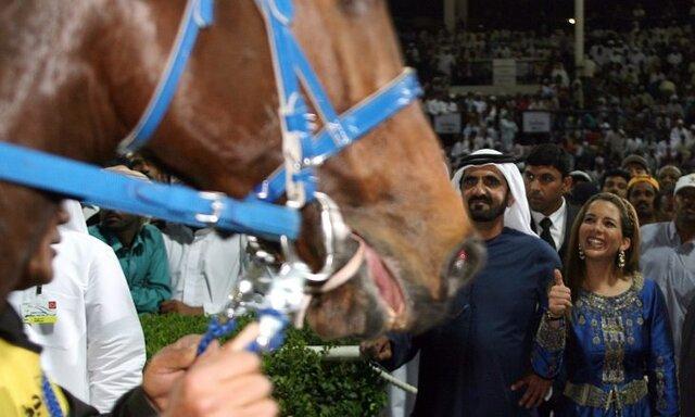 حاکم دبی اسب هایش را بیشتر از دخترانش می خواهد