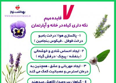7 فایده مهم نگه داری گیاه در خانه و آپارتمان