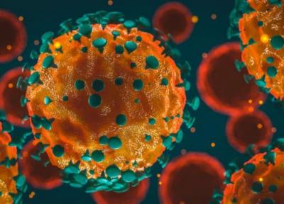 10 خبر خوب در مورد پیشگیری و درمان کرونا ویروس کووید 19 که امیدوارمان می کنند