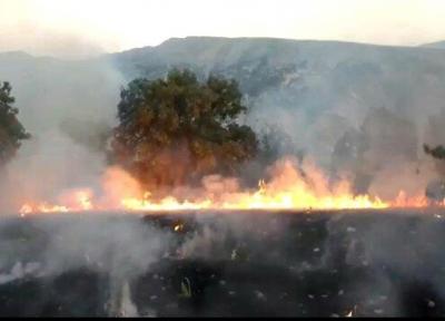 مهار کامل آتش سوزی جنگل های لوداب بویراحمد