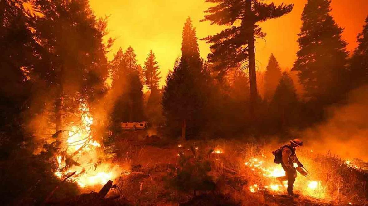 جنگل های کالیفرنیا در میان شعله های سوزان آتش