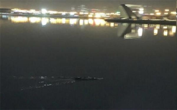 تیم های آتش نشان در جستجوی تمساح دریاچه چیتگر