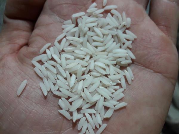 درج نماد معاملاتی برنج در بازار گواهی سپرده کالایی