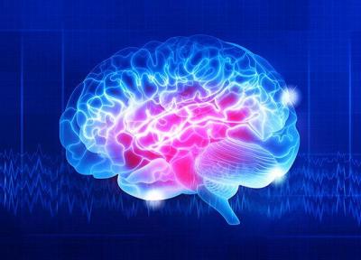 ثبت خاطرات نو موجب افزایش اسیدهای چرب اشباع در مغز می گردد