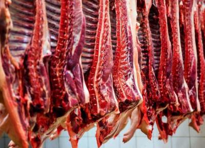 آیا قیمت گوشت قرمز در تابستان افسار پاره می نماید؟