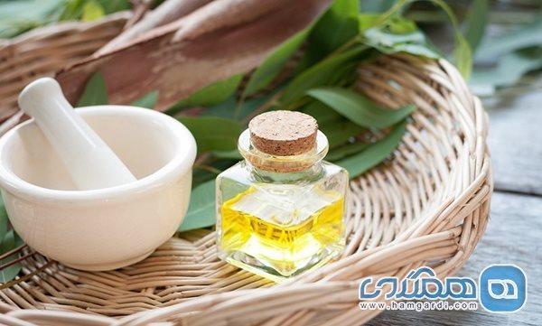 فواید روغن اکالیپتوس برای سلامتی بدن و پوست ومو فواید روغن اکالیپتوس برای سلامتی بدن و پوست ومو
