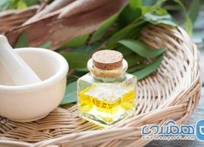 فواید روغن اکالیپتوس برای سلامتی بدن و پوست ومو