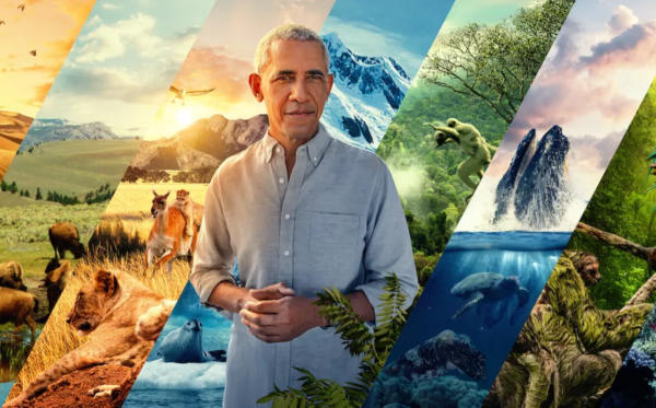 پارک های ملی بزرگ ما؛ حیات وحش با روایت باراک اوباما